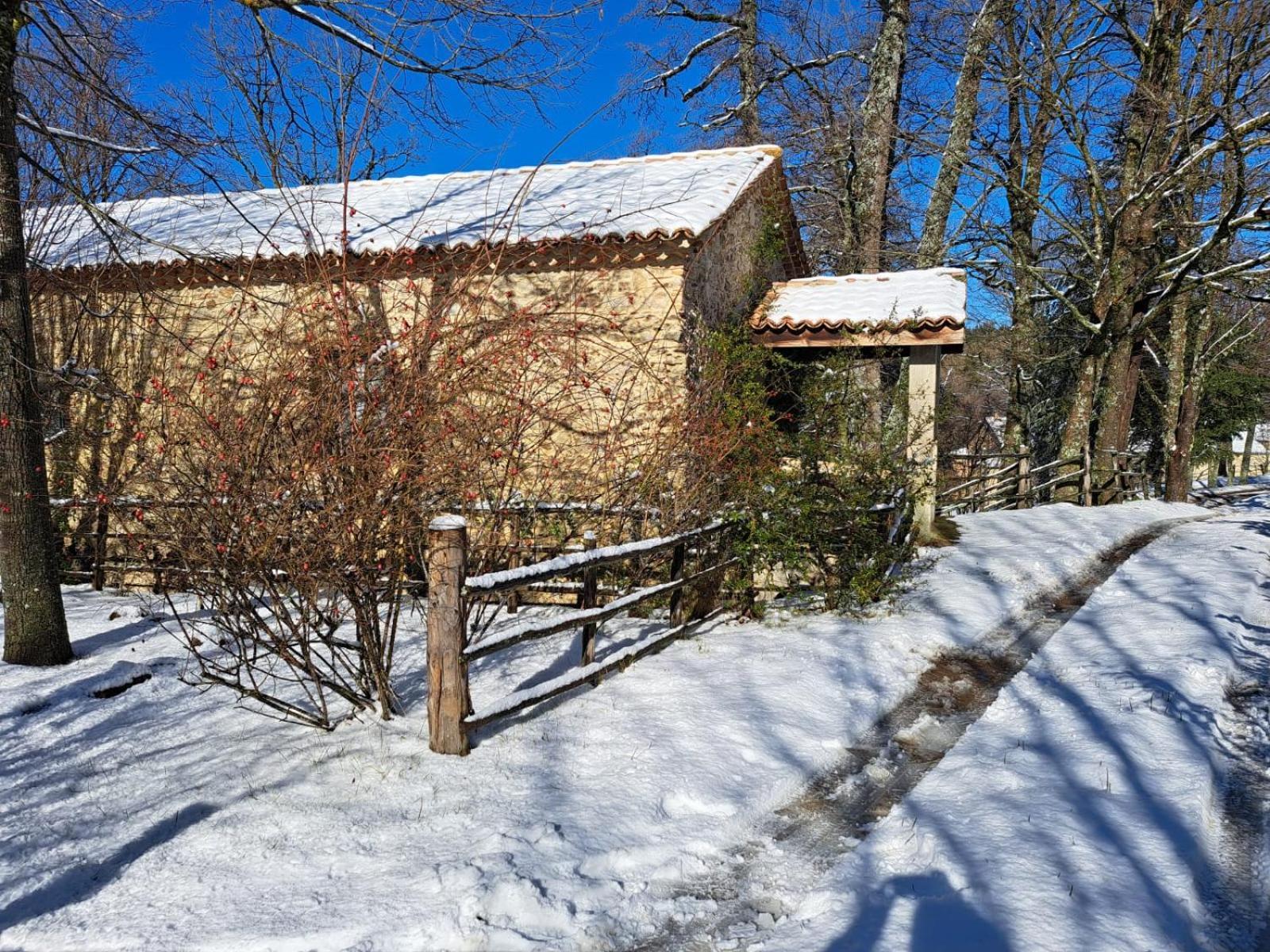 Torre Camigliati Dimora Storica Camigliatello Silano Exterior foto