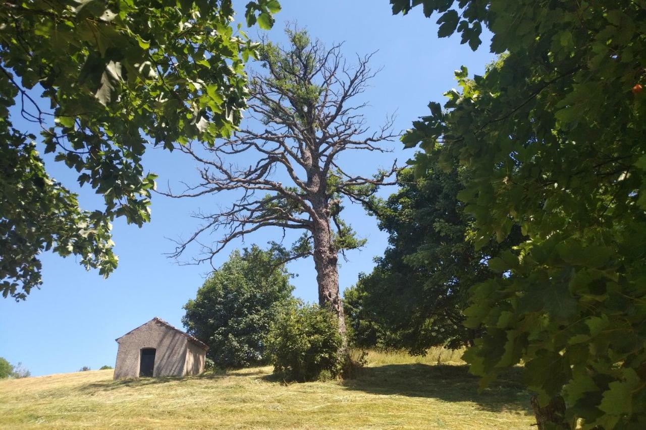 Torre Camigliati Dimora Storica Camigliatello Silano Exterior foto