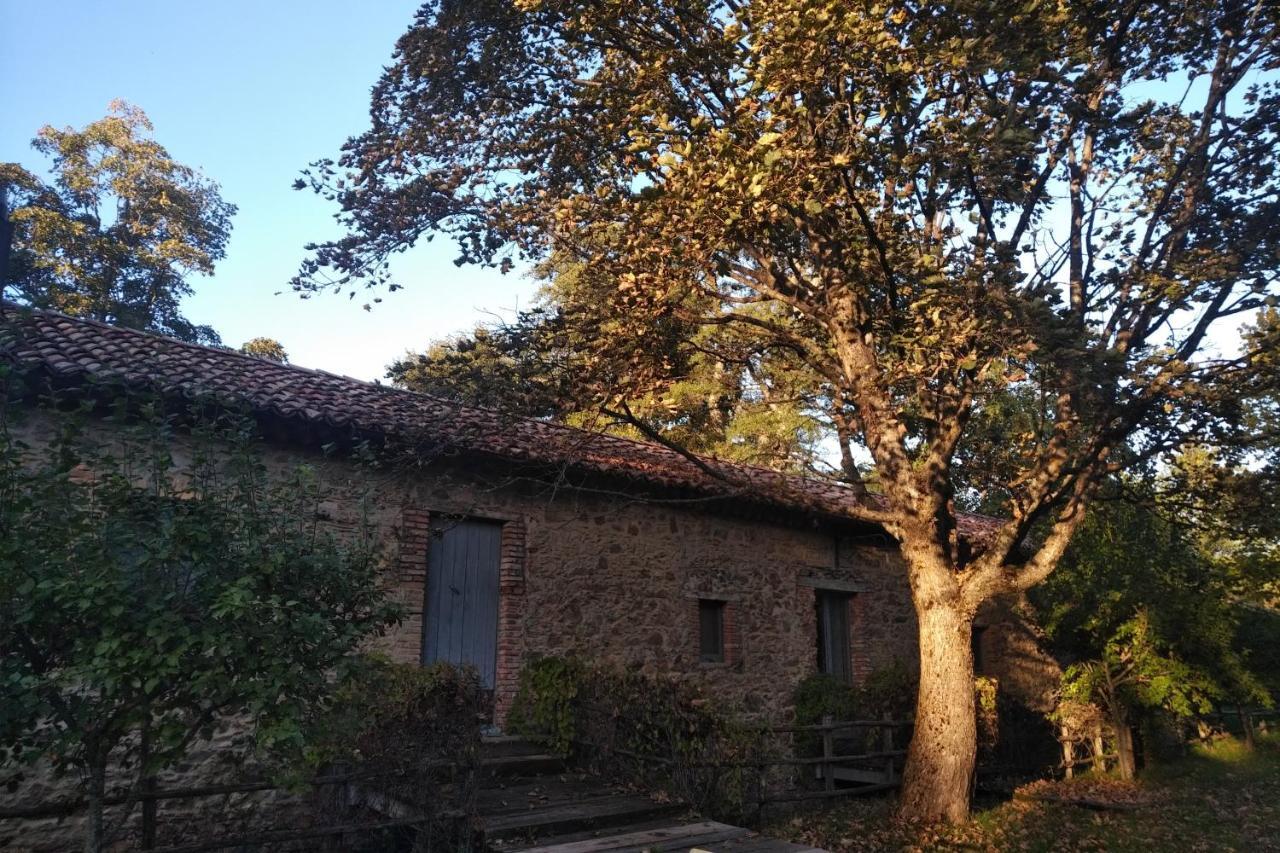 Torre Camigliati Dimora Storica Camigliatello Silano Exterior foto